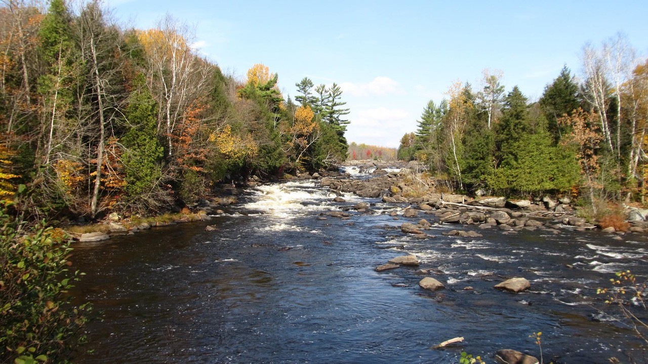 Parc le riverain joliette-JNM