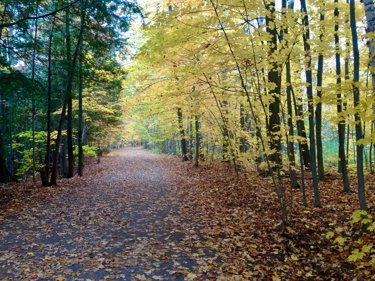 Parc le riverain joliette1-JNM