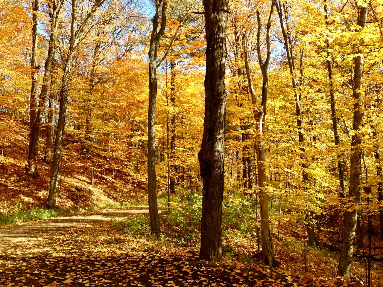 Parc le riverain joliette2-JNM