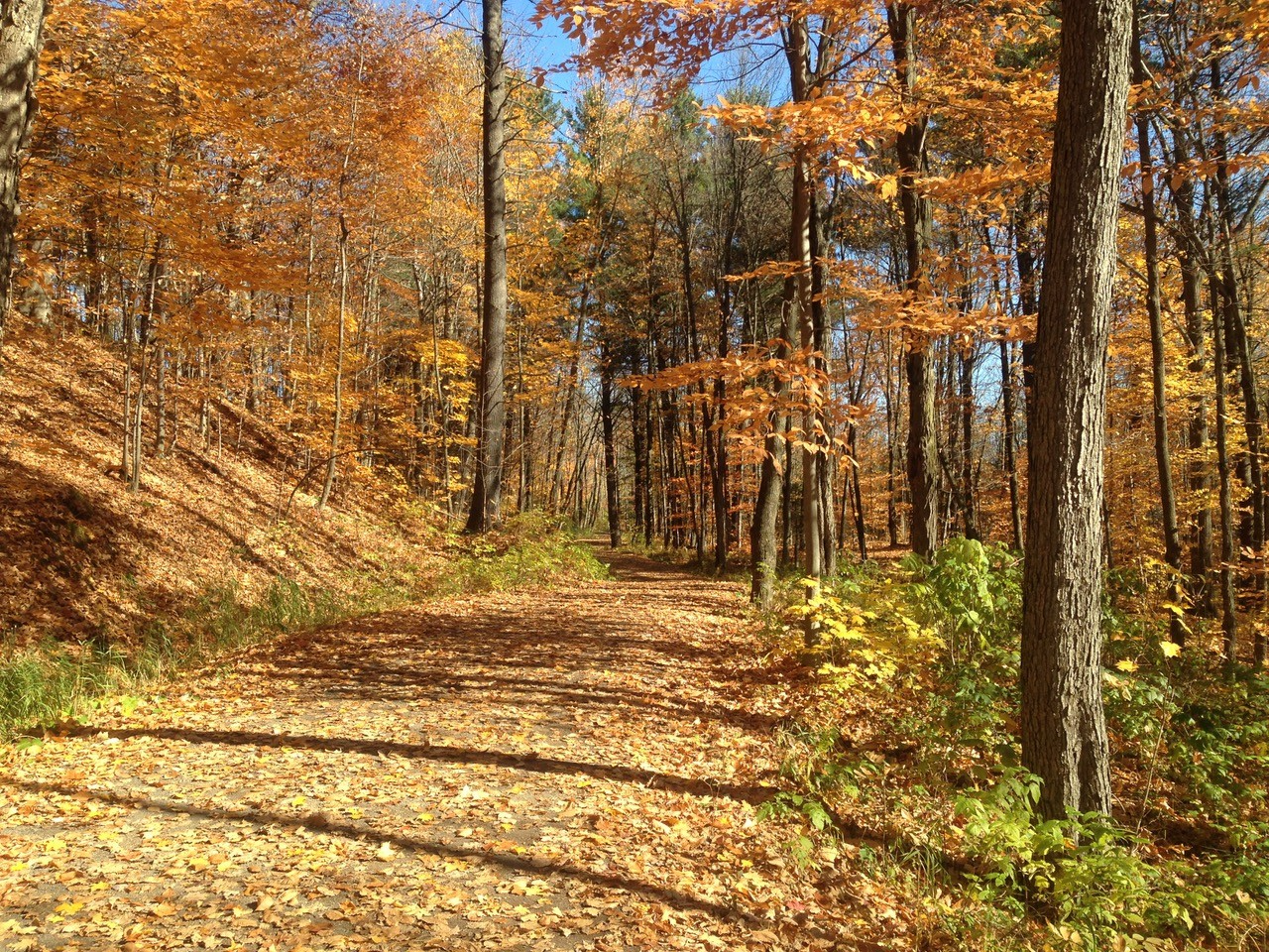 Parc le riverain joliette4-JNM